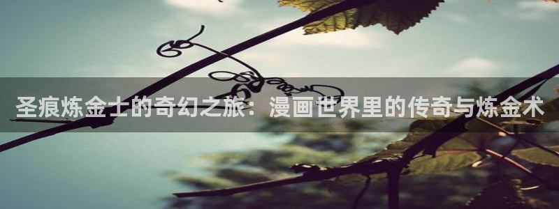 香蕉漫画私密教学